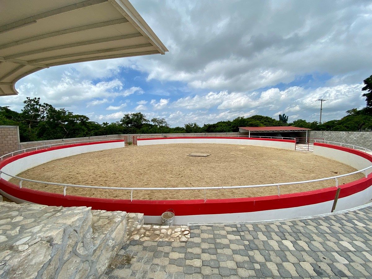 Rancho en Santa Cruz, Ocozocoautla de Espinosa, foto 2 de 17