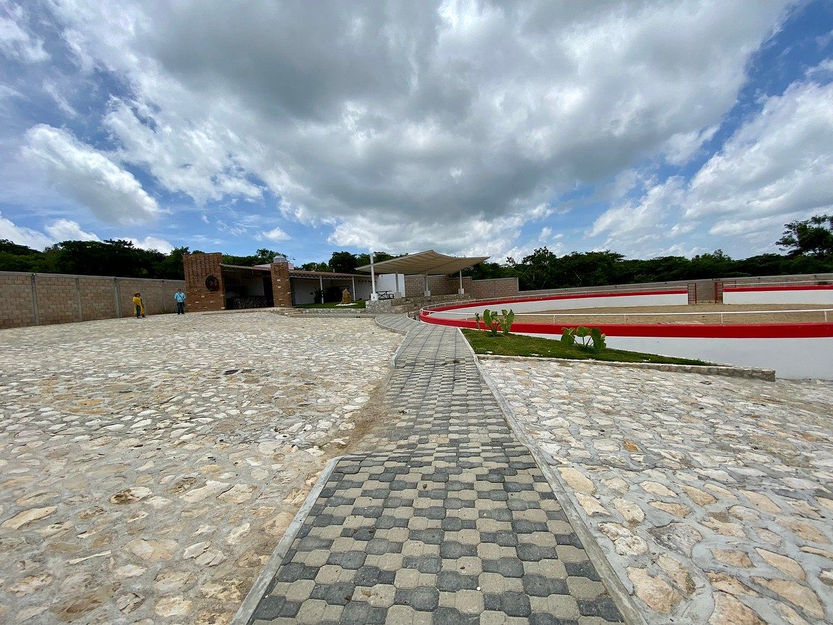 Rancho en Santa Cruz, Ocozocoautla de Espinosa, foto 4 de 17