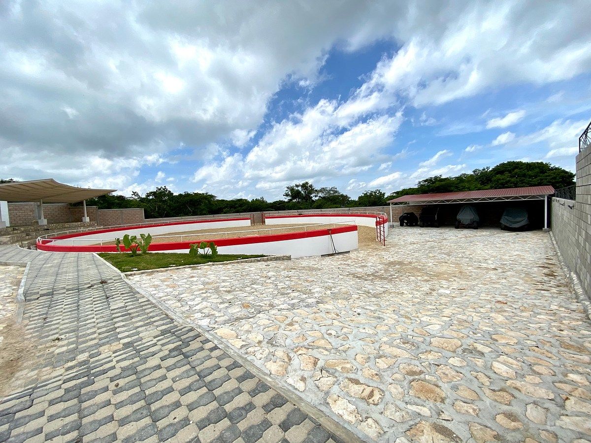 Rancho en Santa Cruz, Ocozocoautla de Espinosa, foto 5 de 17