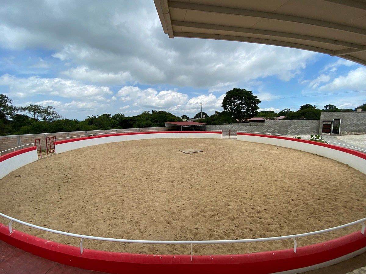 Rancho en Santa Cruz, Ocozocoautla de Espinosa, foto 8 de 17