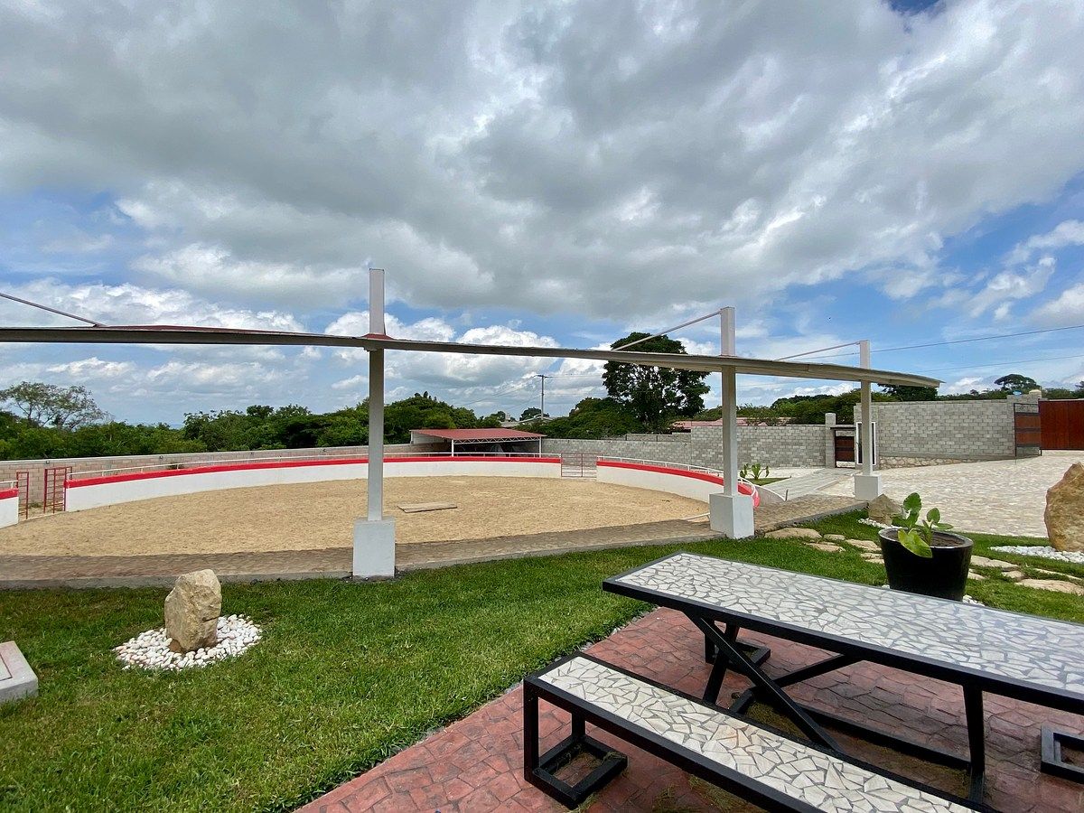 Rancho en Santa Cruz, Ocozocoautla de Espinosa, foto 9 de 17