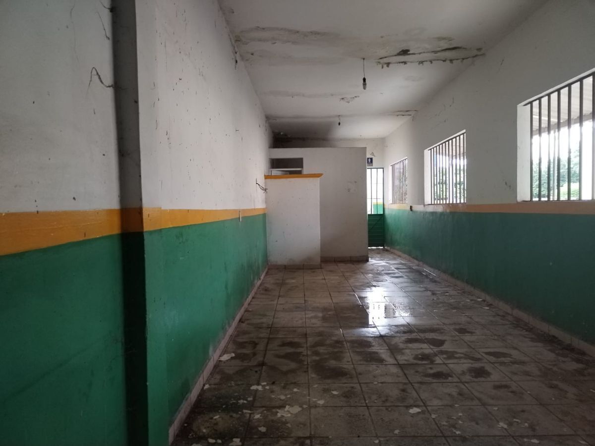 9 de 19