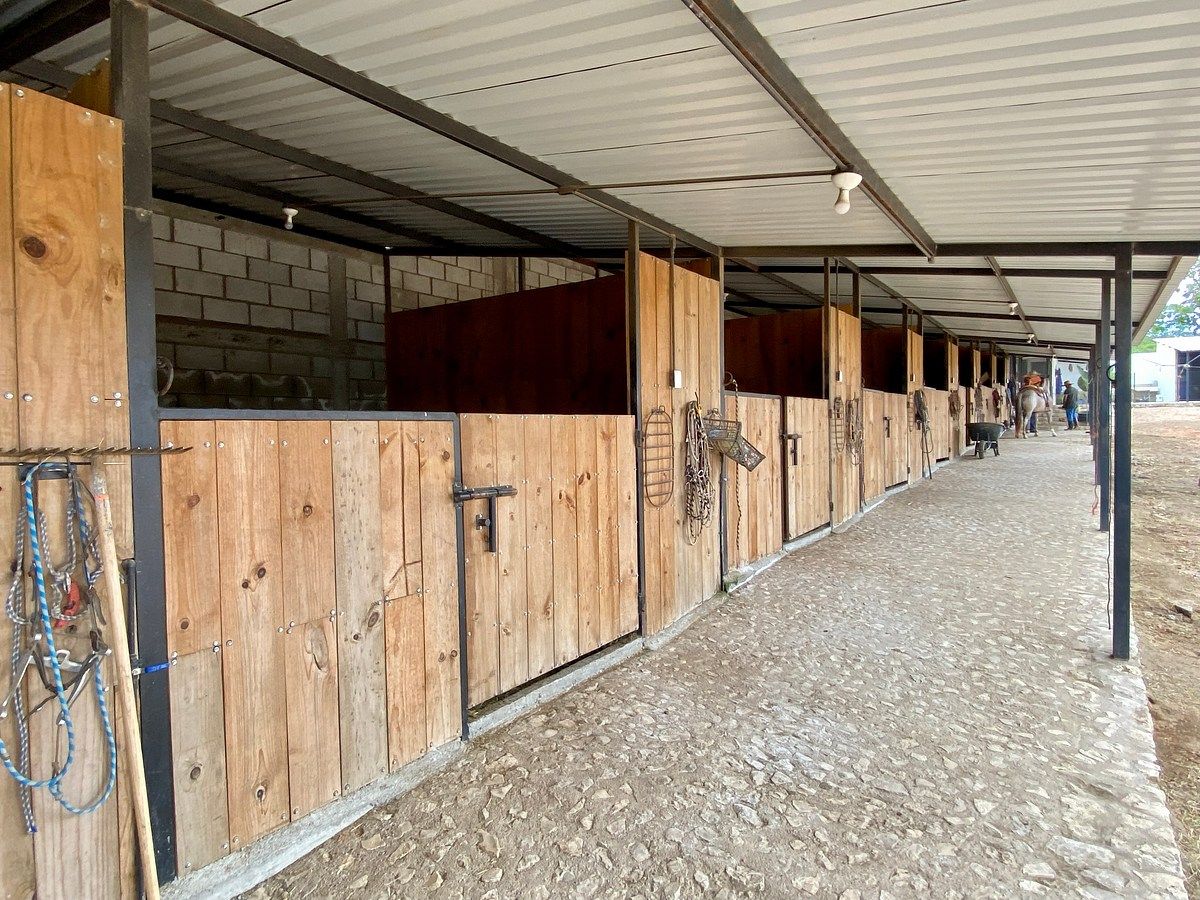 Rancho en Santa Cruz, Ocozocoautla de Espinosa, foto 2 de 9
