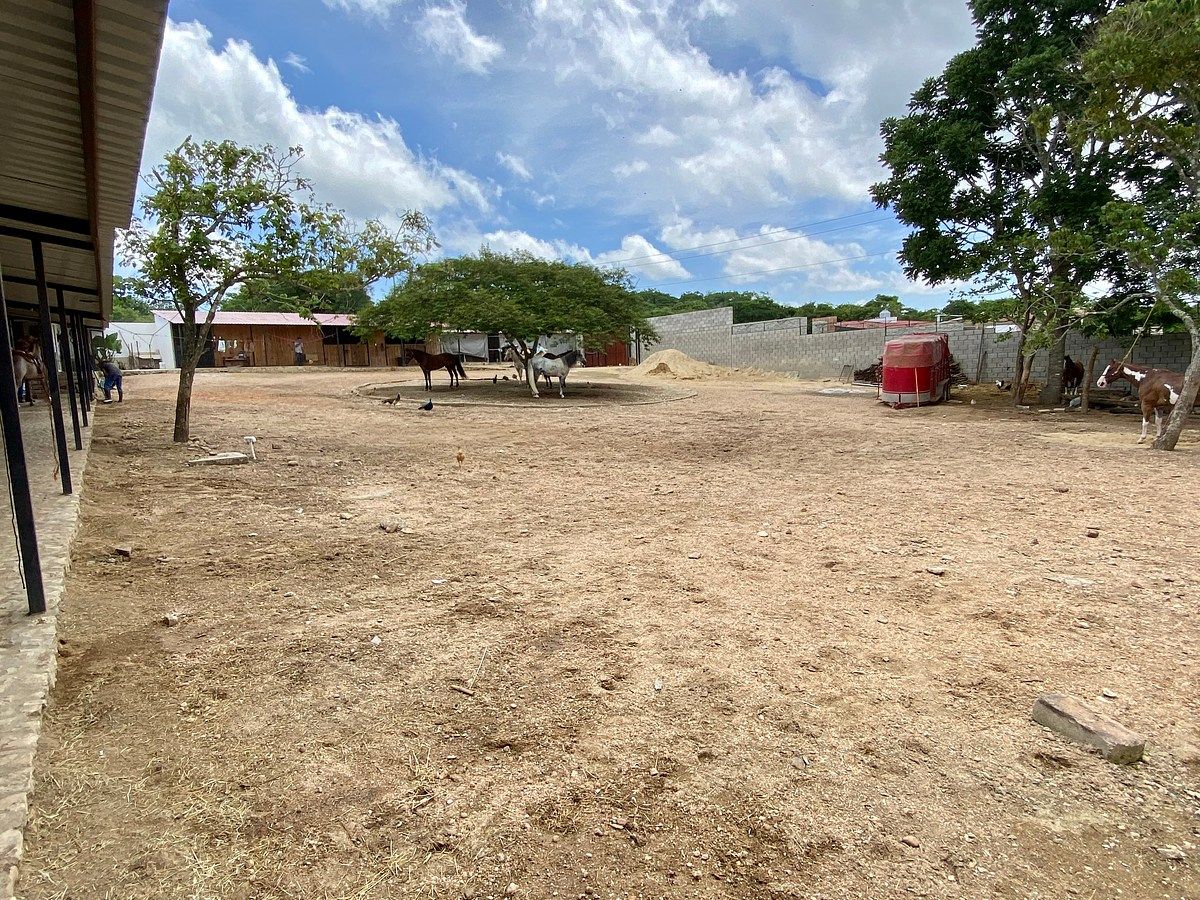 Rancho en Santa Cruz, Ocozocoautla de Espinosa, foto 4 de 9