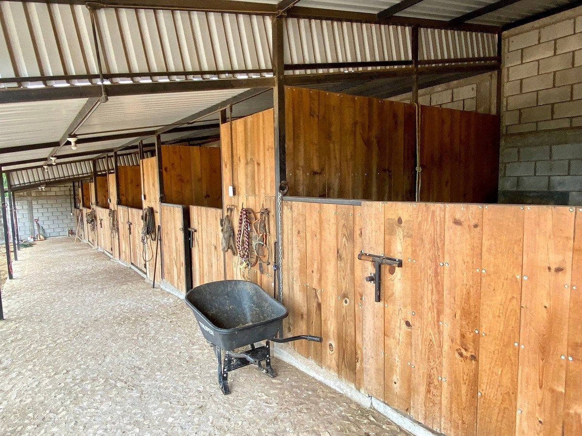Rancho en Santa Cruz, Ocozocoautla de Espinosa, foto 5 de 9