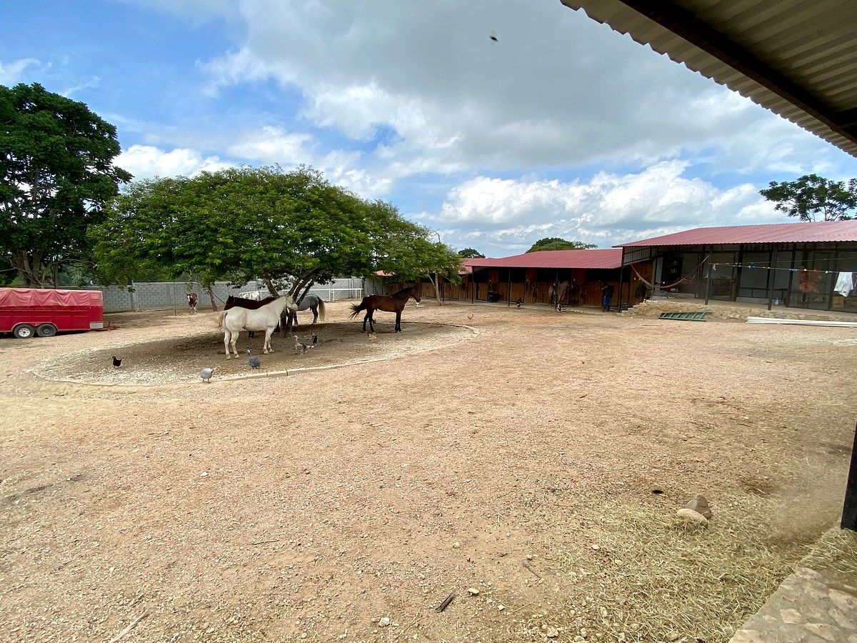Rancho en Santa Cruz, Ocozocoautla de Espinosa, foto 7 de 9
