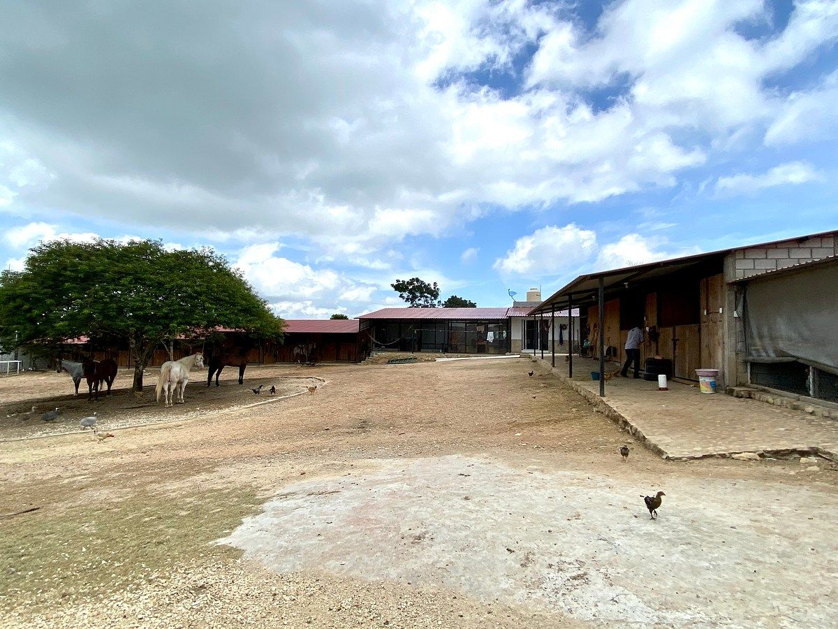 Rancho en Santa Cruz, Ocozocoautla de Espinosa, foto 8 de 9