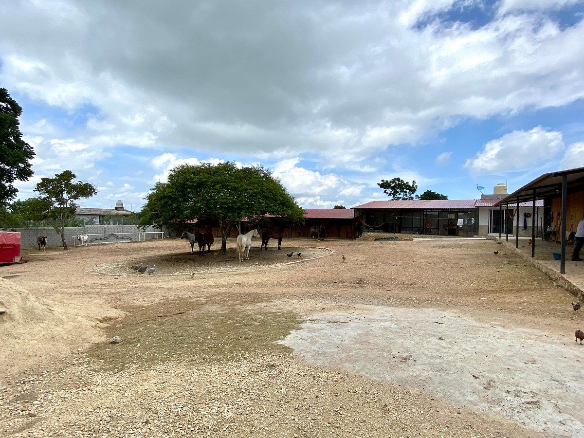 Rancho en Santa Cruz, Ocozocoautla de Espinosa, foto 9 de 9