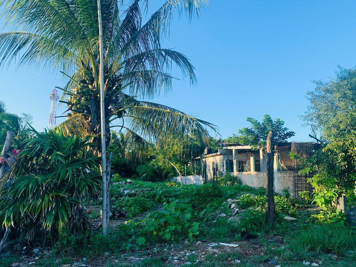 OPORTUNIDAD DE TERRENO EN CHELEM PUERTO., foto 1 de 7