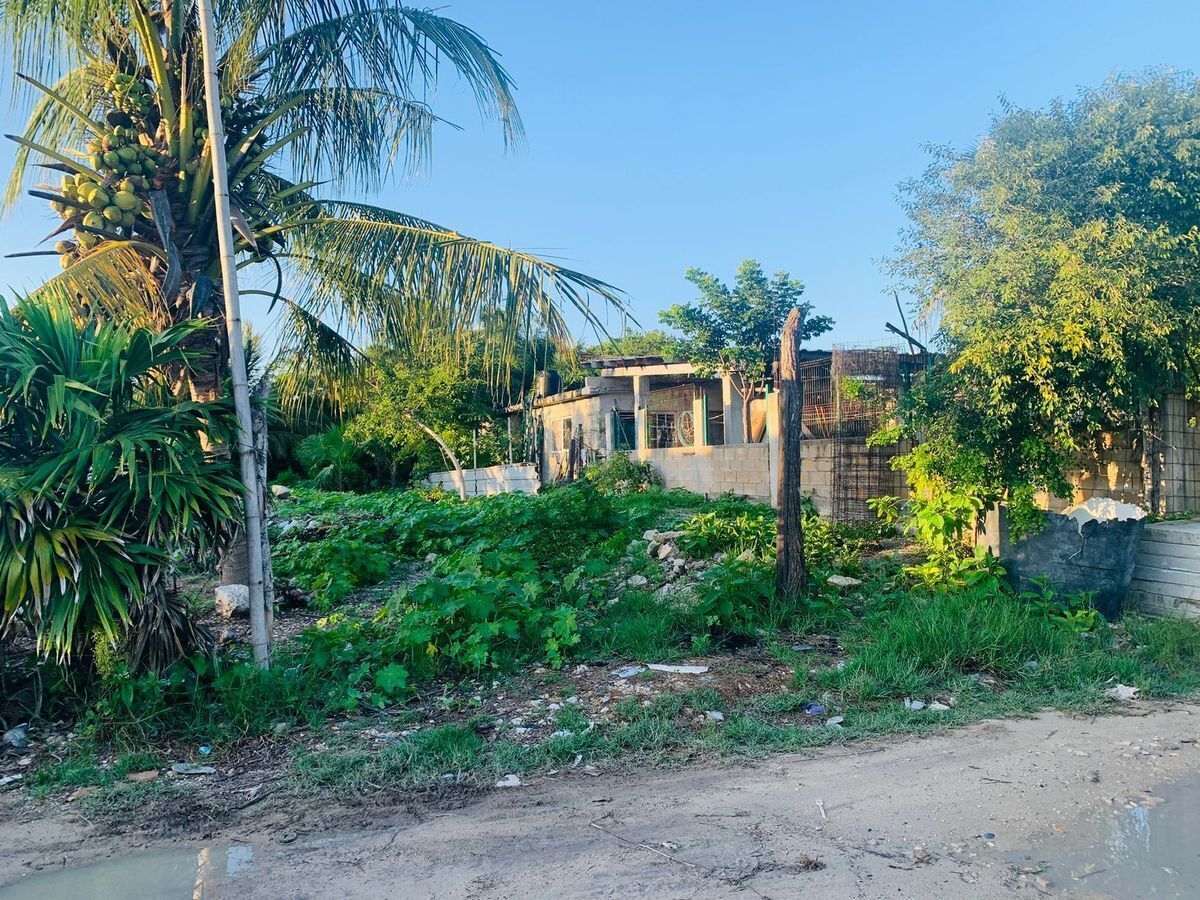 Terreno en Chelem, Progreso, foto 2 de 7