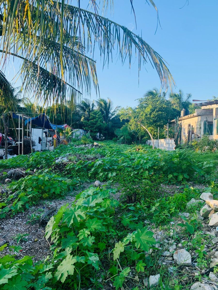 Terreno en Chelem, Progreso, foto 3 de 7
