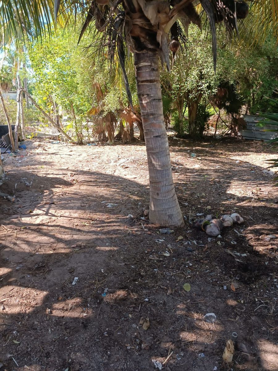 Terreno en Chelem, Progreso, foto 5 de 7