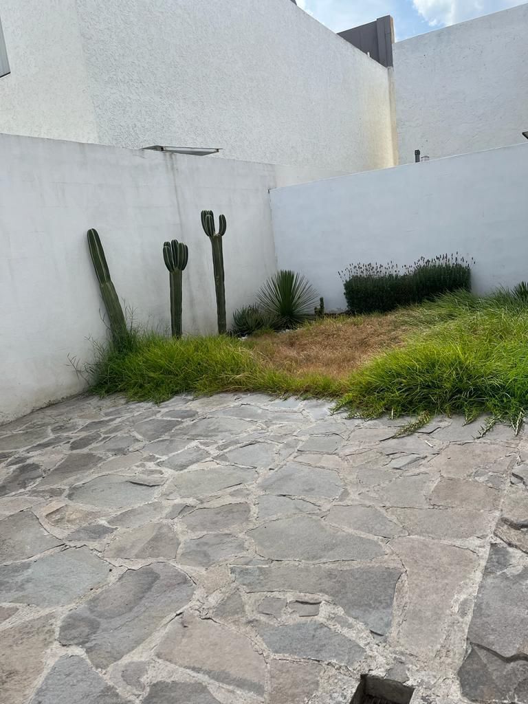 7 de 17