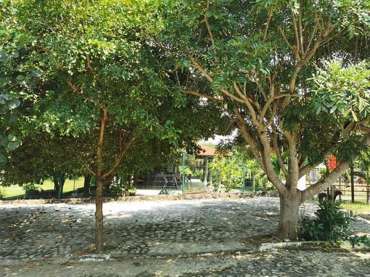 Country House ‼ - foto 5