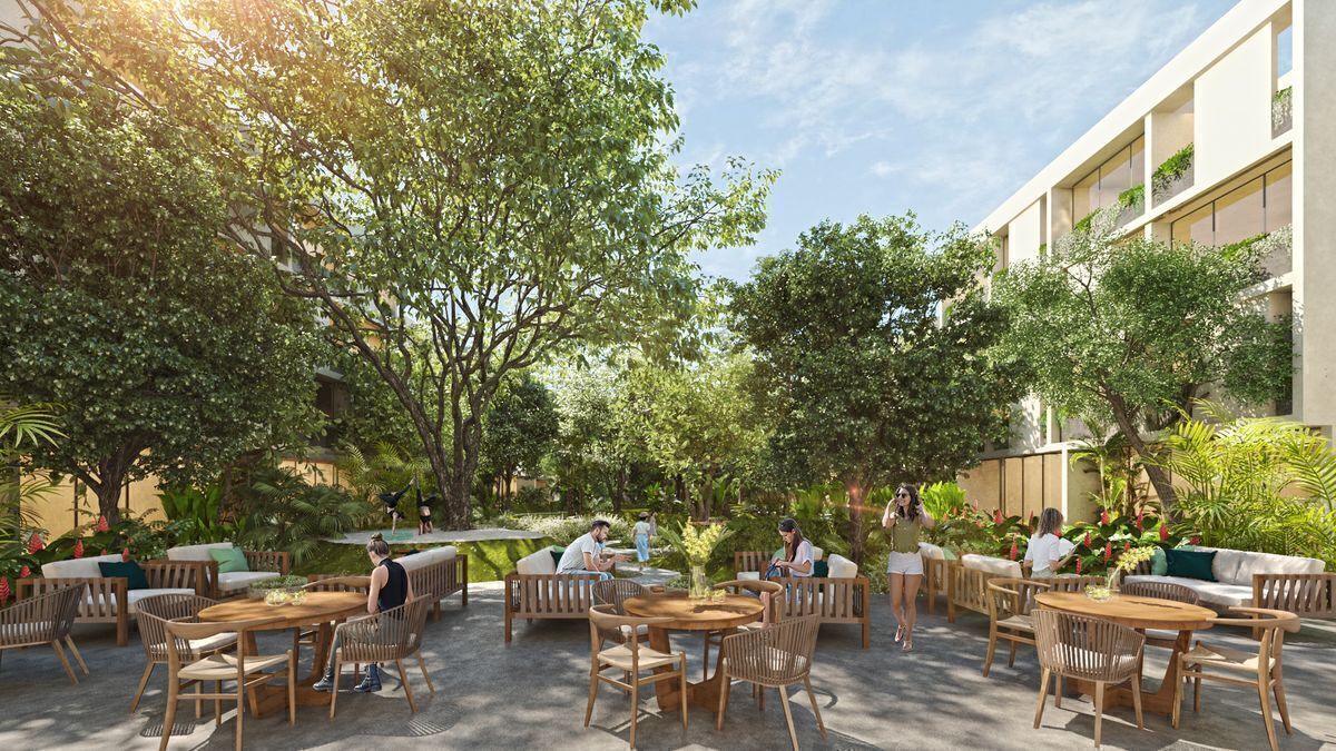 13 de 16: Área de Picnic