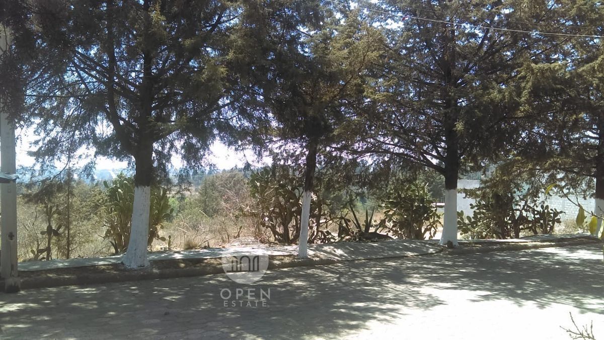 7 de 26