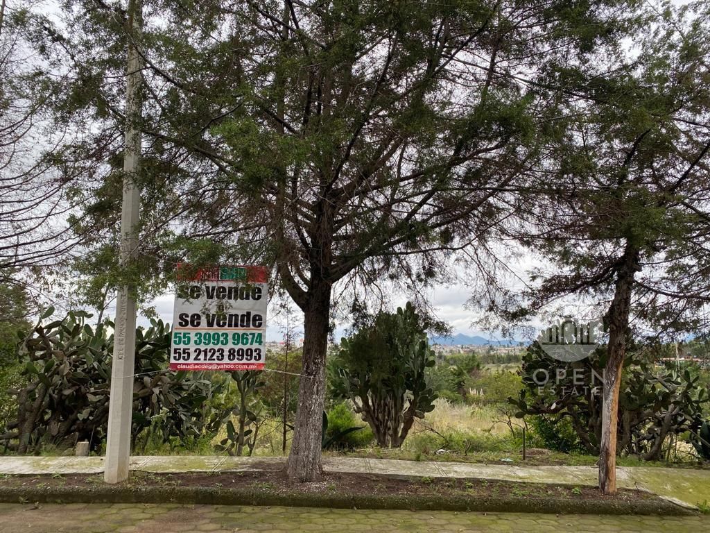 11 de 26