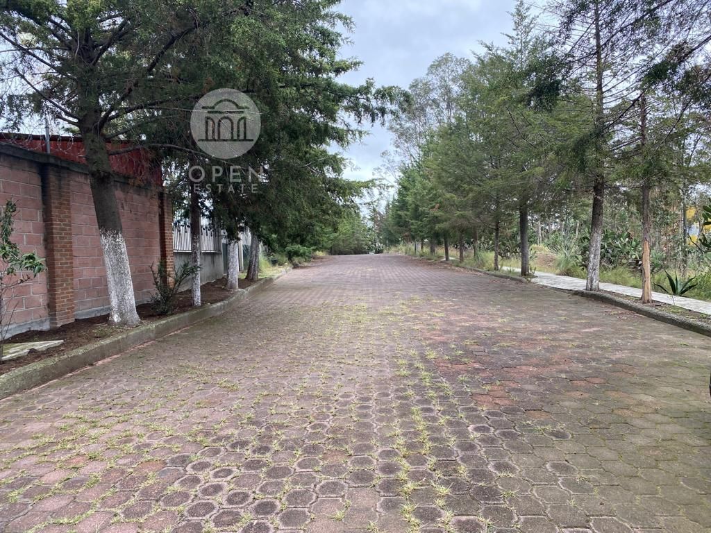12 de 26