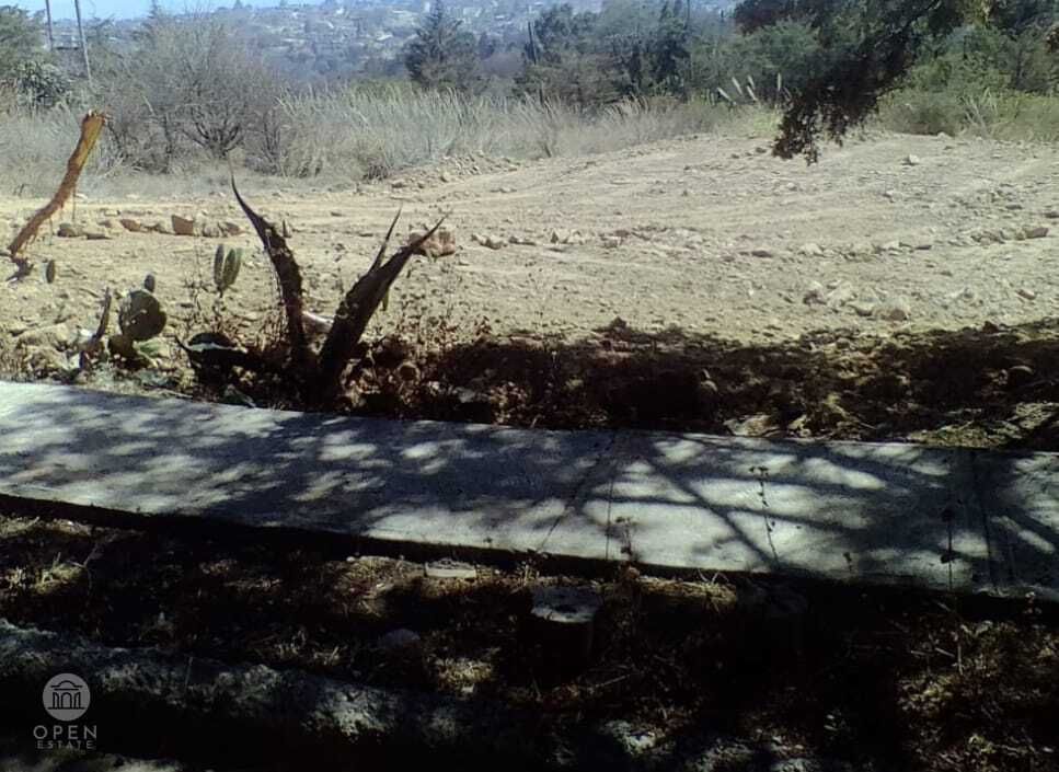 13 de 26