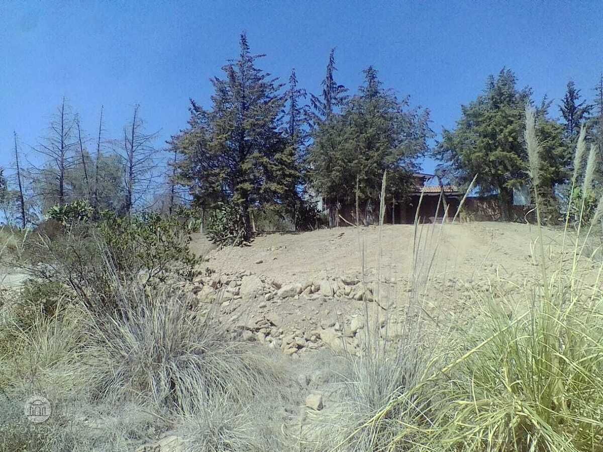 18 de 26