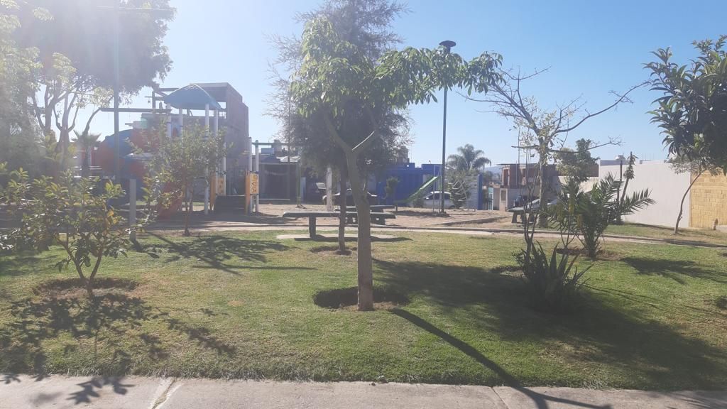3 de 22