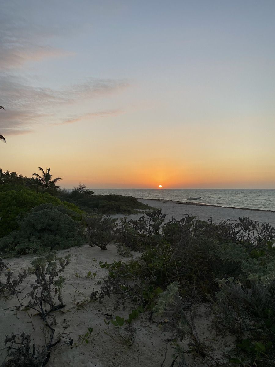 6 de 35: Extensa playa con dunas