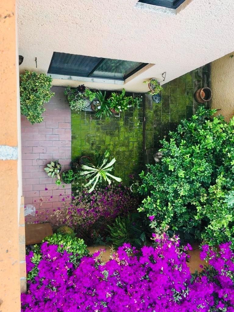 37 of 38: Jardín frontal visto desde arriba