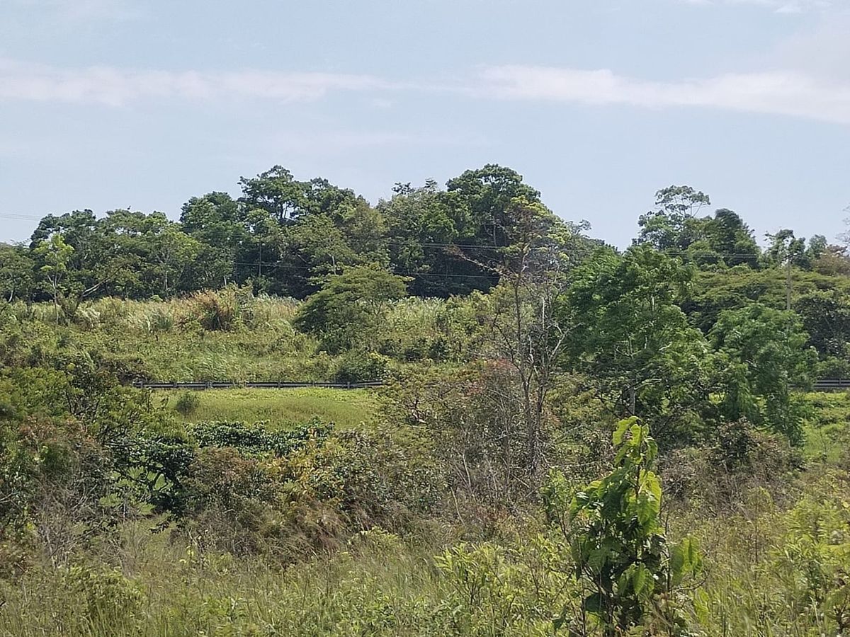7 de 28