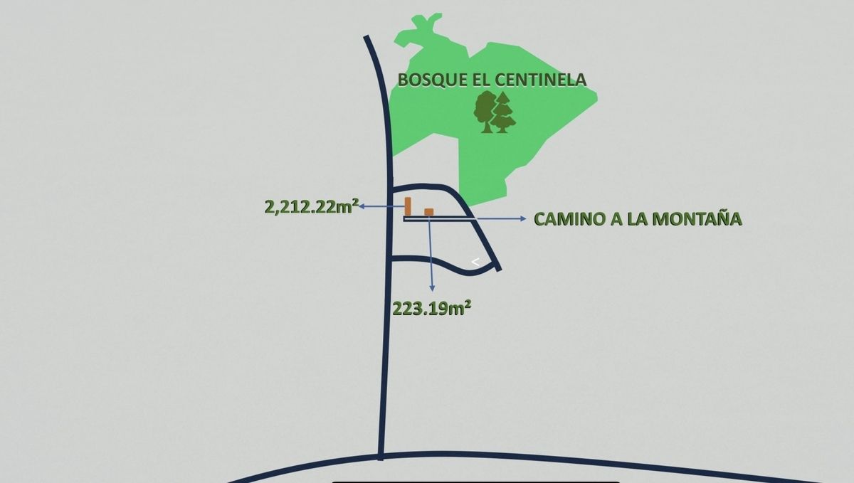 6 de 7