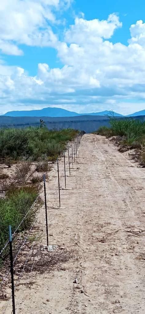 2 de 8: Caminos y cerca perimetral