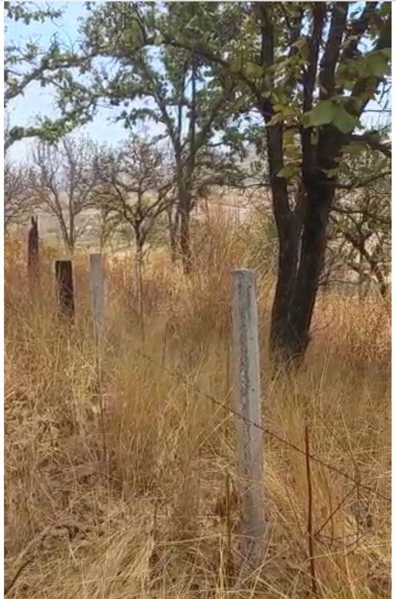 TERRENO EN VENTA SAN ESTEBAN - foto 4