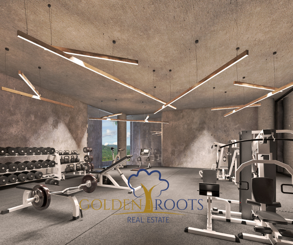 Render - Gimnasio
