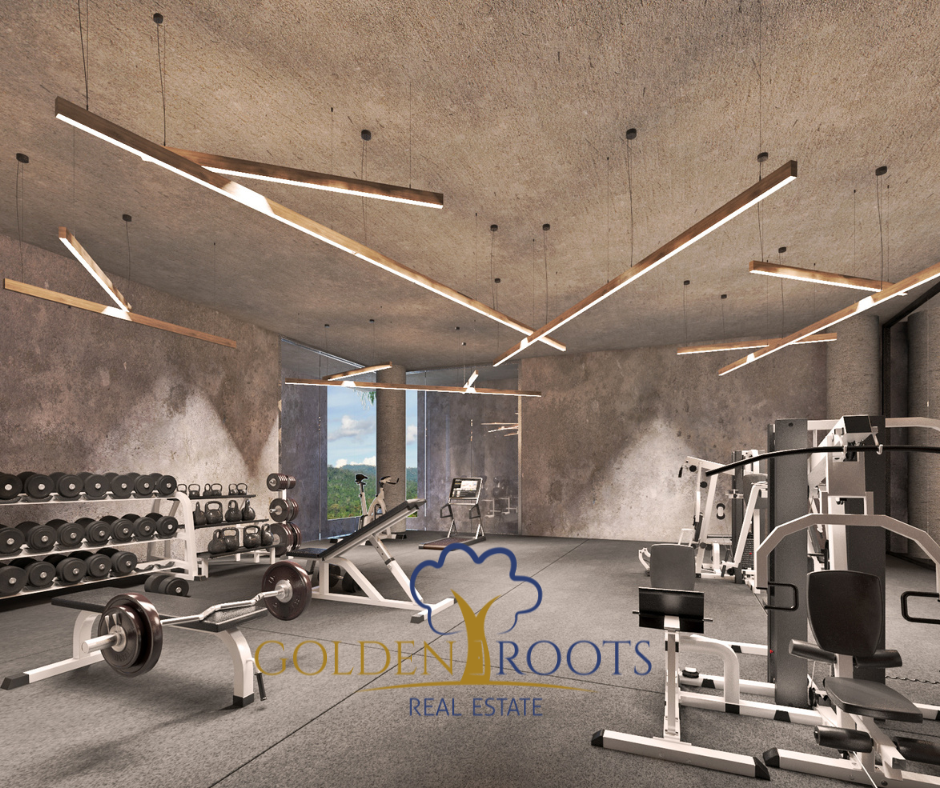 7 de 12: Render - Gimnasio