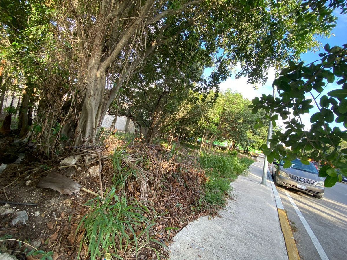 Terreno en Bellavista, Playa del Carmen, foto 4 de 5