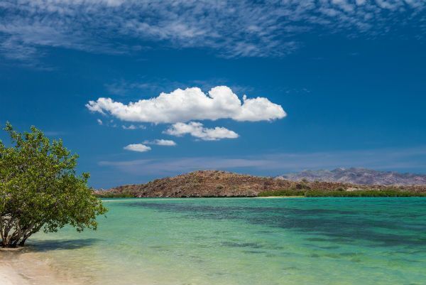 TERRENO PREMIUM PLAYA EL REQUESON MULEGE BCS DE ENSUEÑO VENTA - foto 3