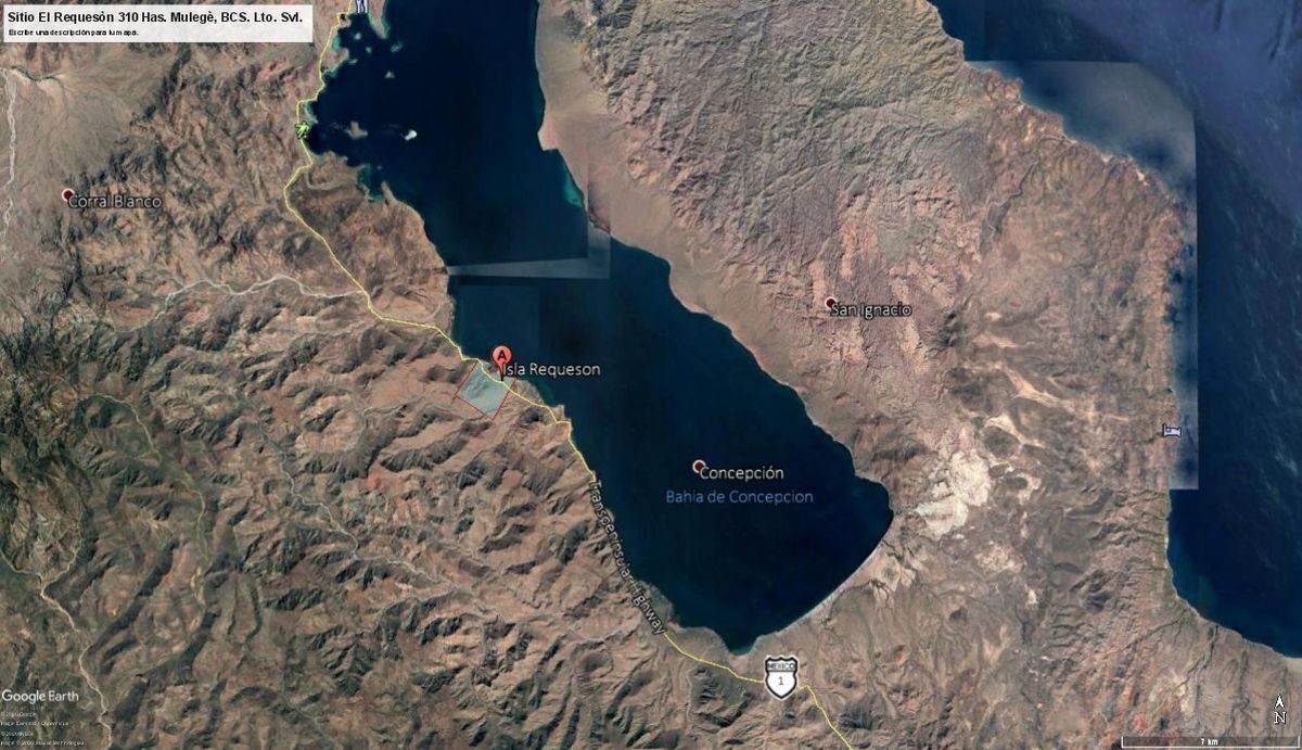 TERRENO PREMIUM PLAYA EL REQUESON MULEGE BCS DE ENSUEÑO VENTA - foto 1