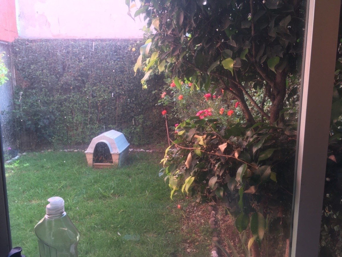 19 of 20: Jardín interior 