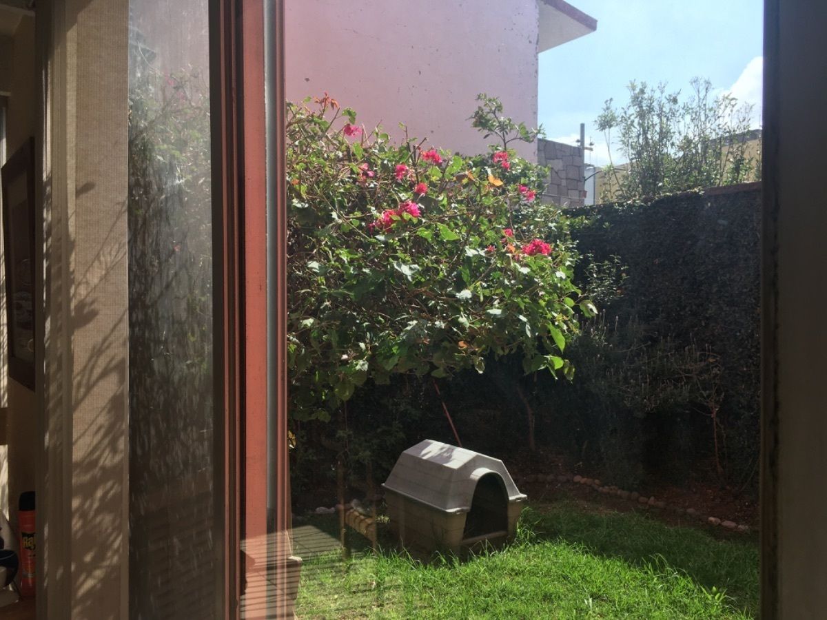 6 de 20: Jardín interior que dá hacia la estancia