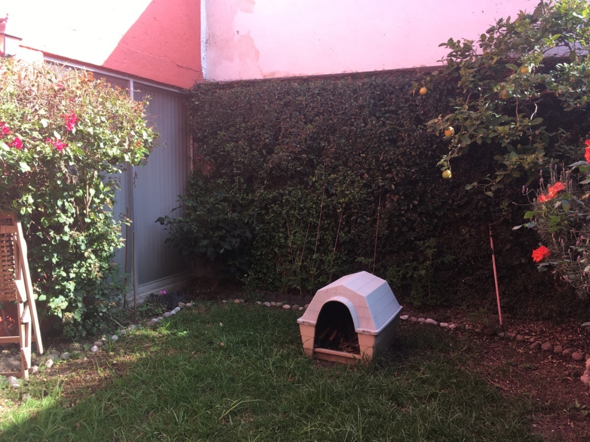 18 of 20: Jardín interior 