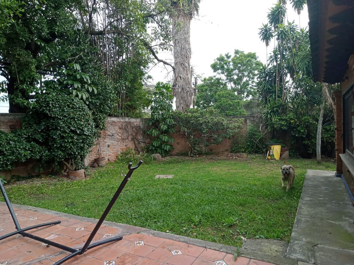 6 de 35