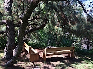 Casa a la Renta en Colinas De San Javier - Foto 3