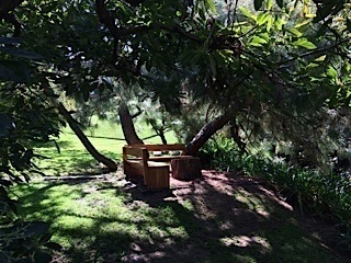 Casa a la Renta en Colinas De San Javier - Foto 2