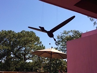 Casa a la Renta en Colinas De San Javier - Foto 6