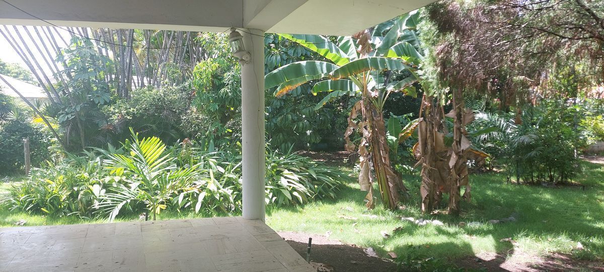 3 de 3