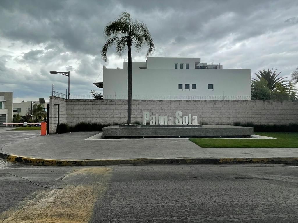 2 de 7