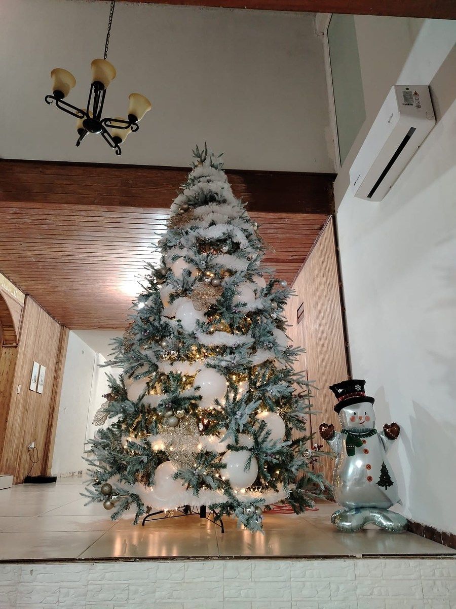 Casa em Villas de Irapuato, Irapuato, foto 24 de 28