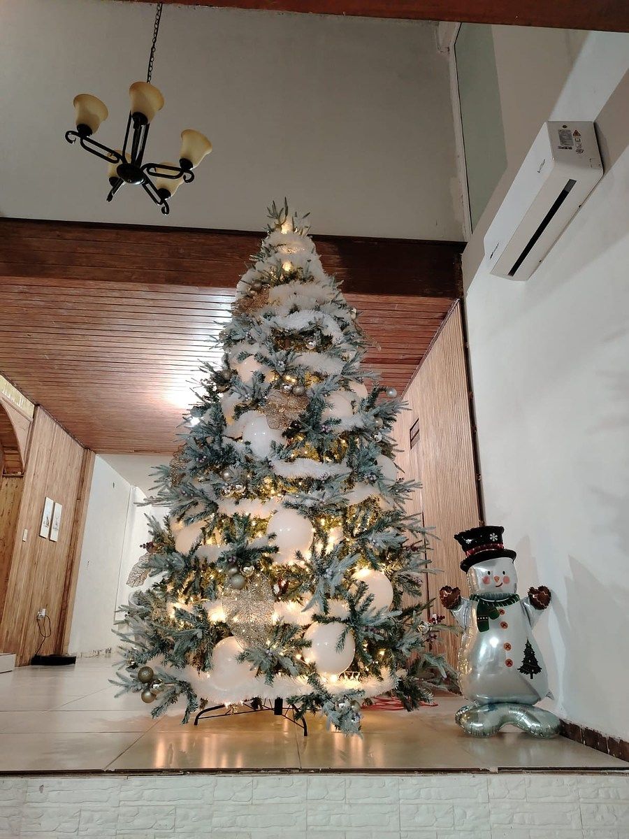 Casa em Villas de Irapuato, Irapuato, foto 26 de 28