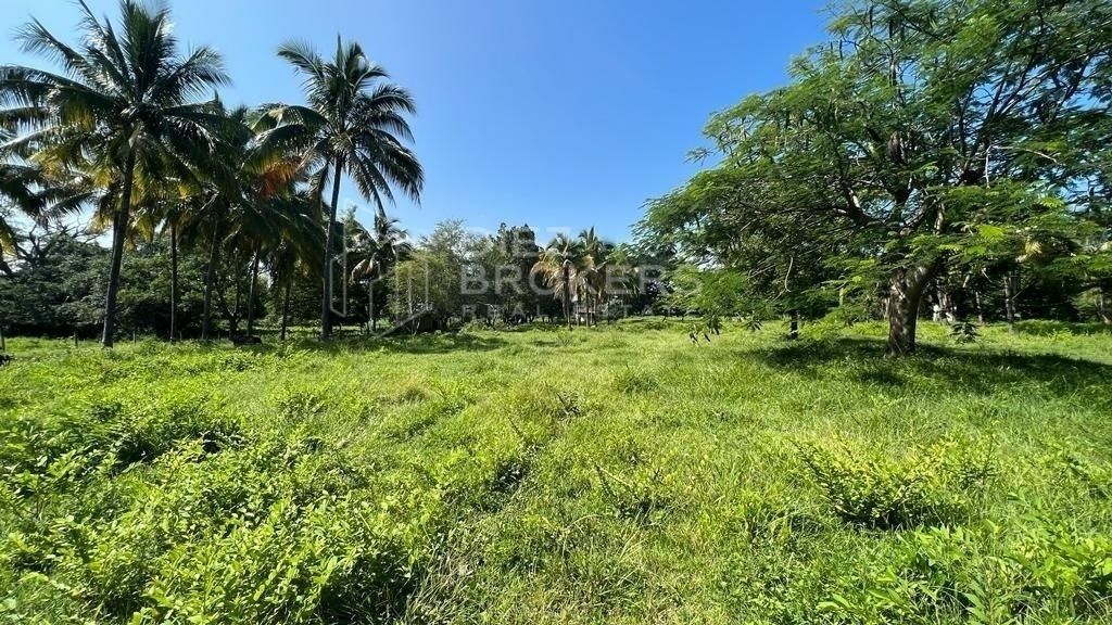 Excelente terreno - Trapiche Colima - foto 1