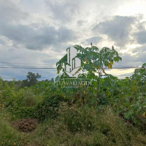 Terreno en Club náutico puente viejo