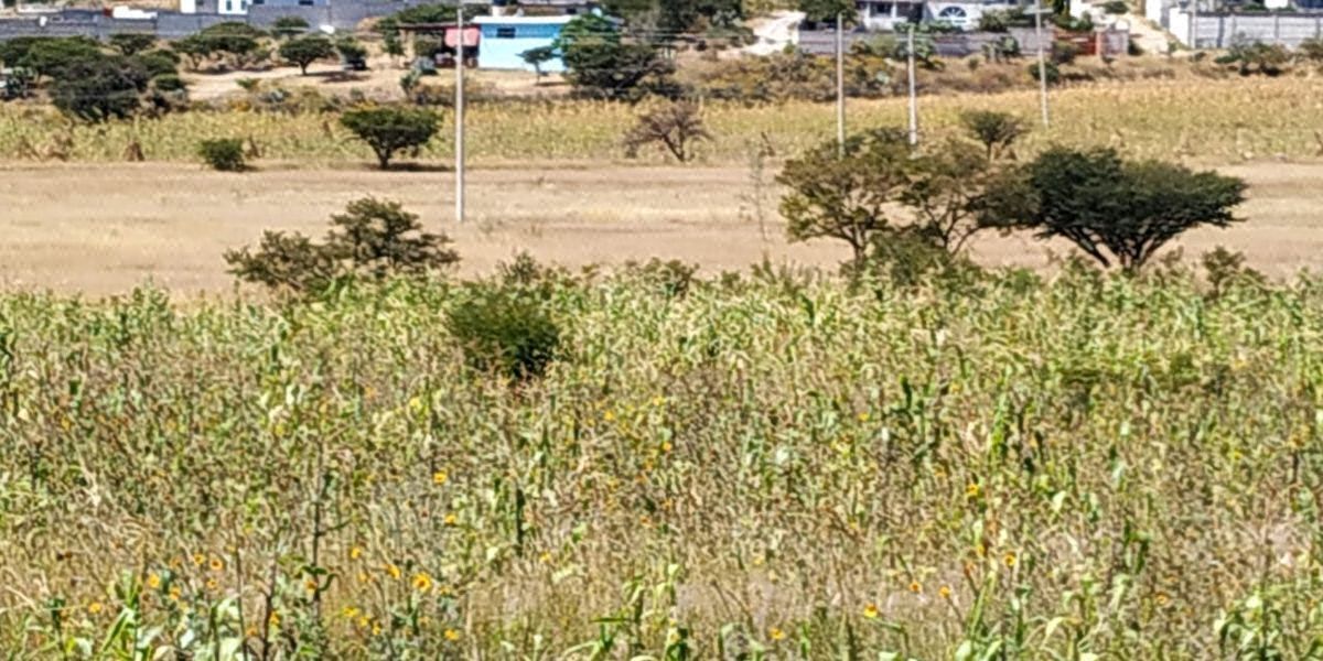 Terreno Comercial en venta, carretera 57 hacia San Luis Potosi, 10,000mts Excele